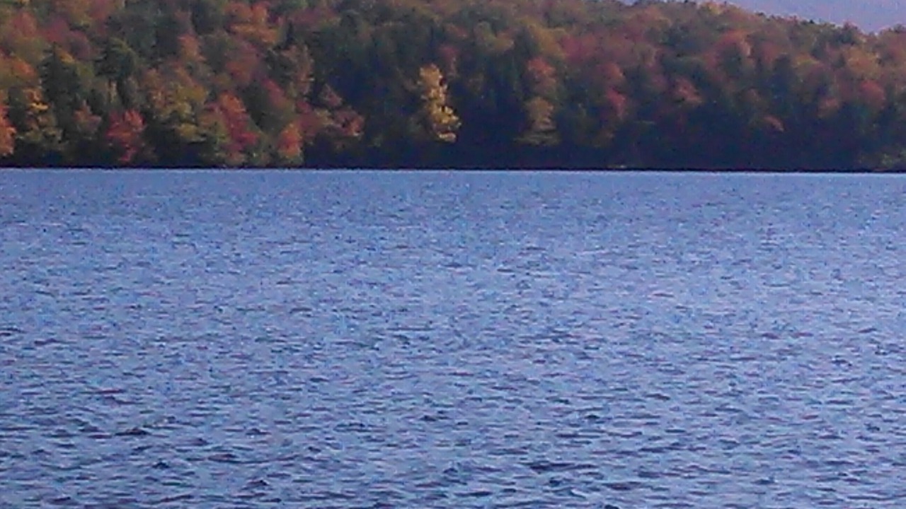 Photo of Outdoor in Mount Holly
