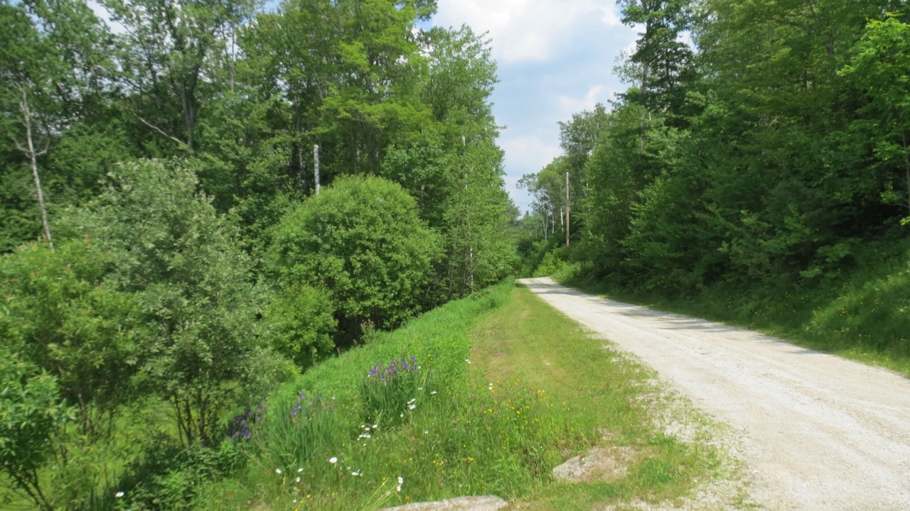 Photo of Outdoor in Rawsonville
