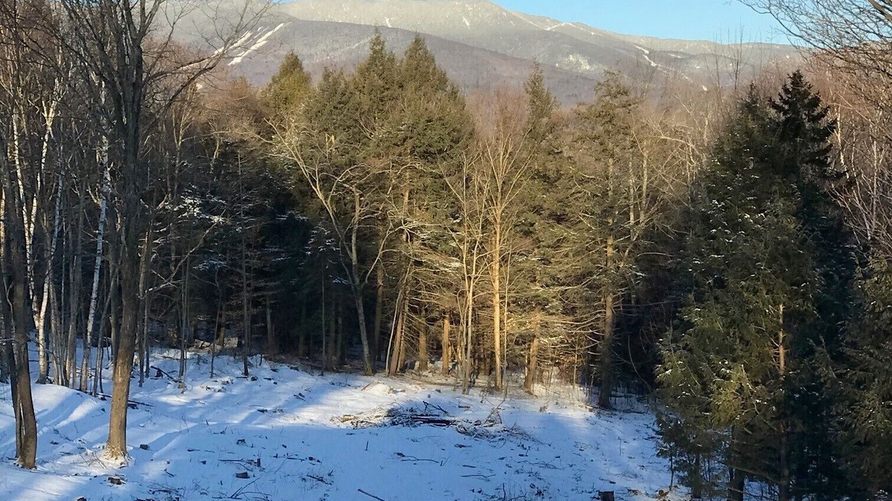 Photo of Others in Warren