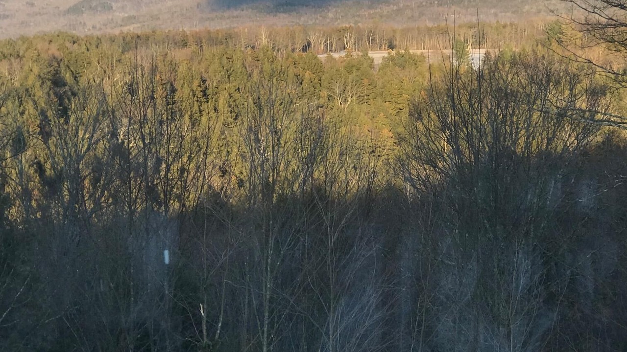 Photo of Others in Warren