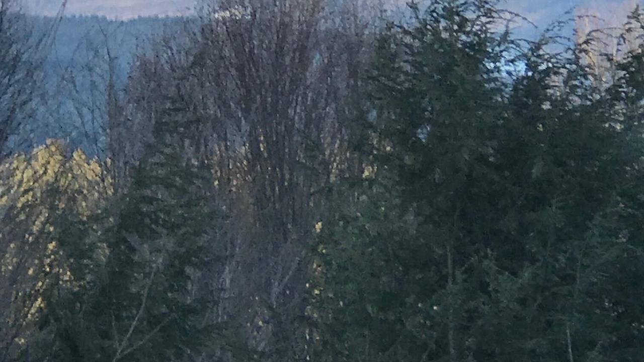 Photo of Others in Warren