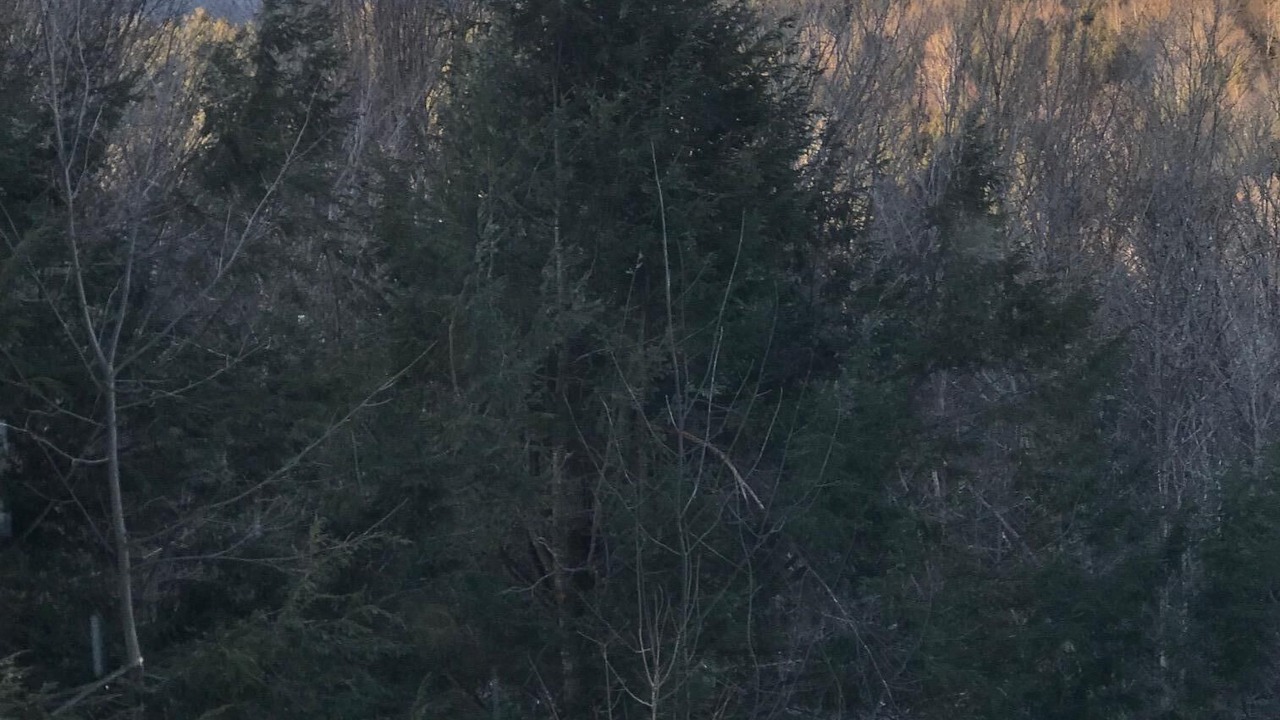 Photo of Others in Warren