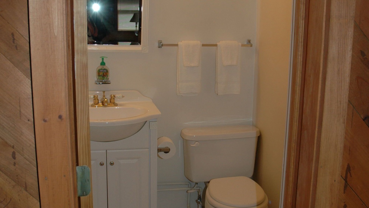 Photo of Bathroom in South Londonderry
