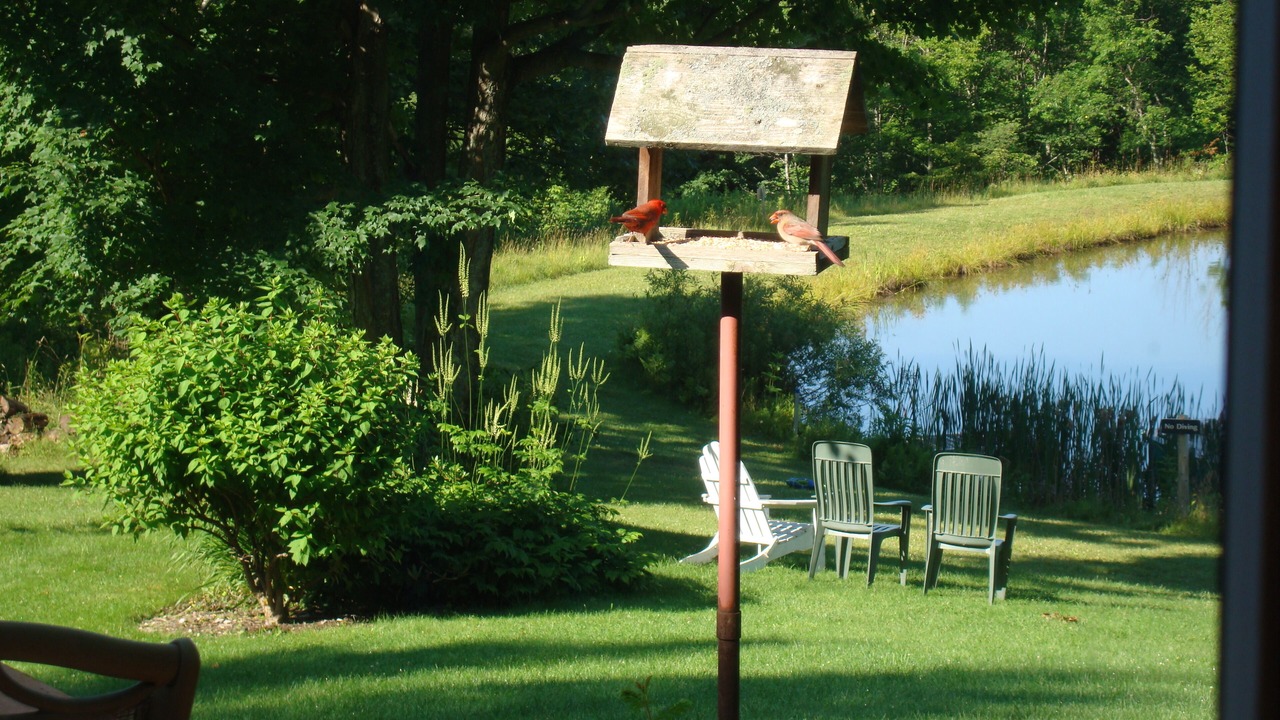 Photo of Others in Middletown Springs