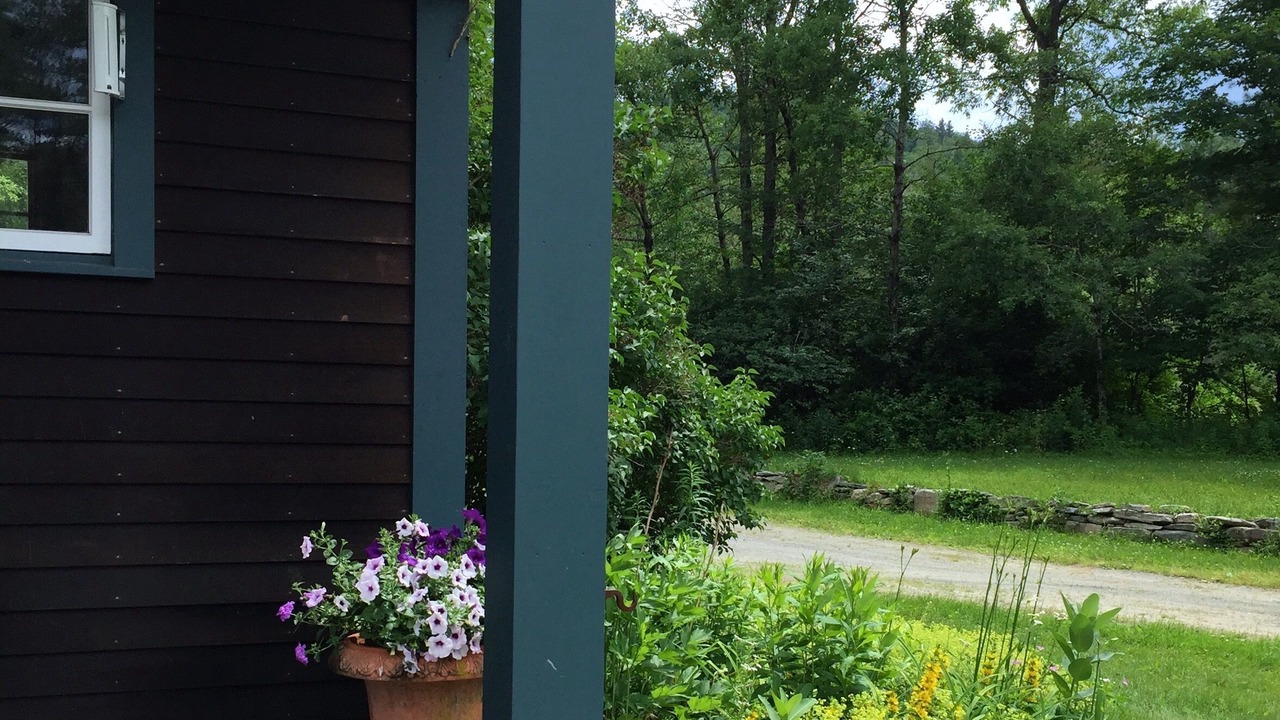 Photo of Outdoor in South Londonderry