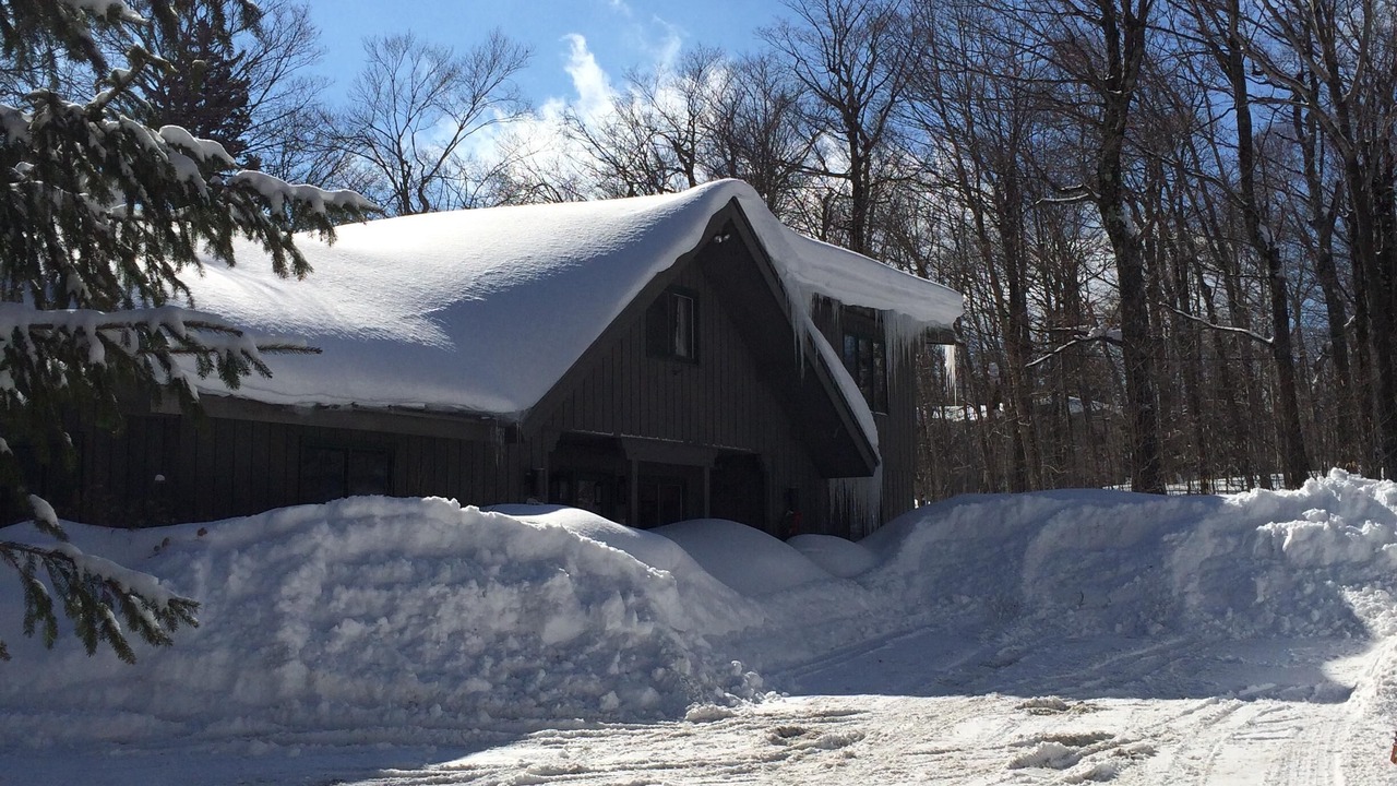 Photo of Others in Stratton Mountain