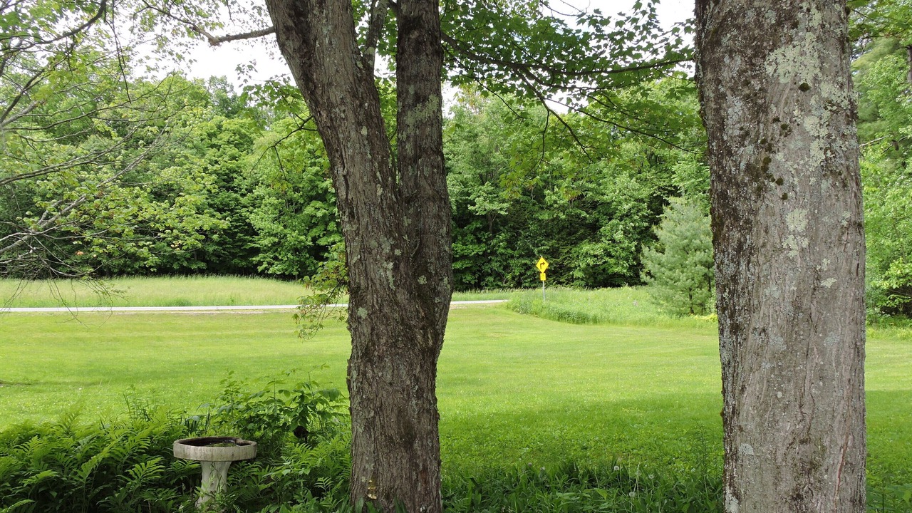 Photo of Outdoor in Bomoseen