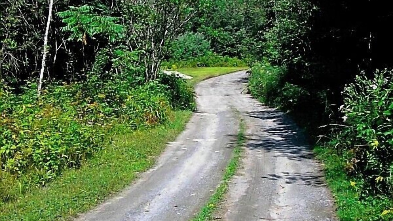 Photo of Others in Bradford
