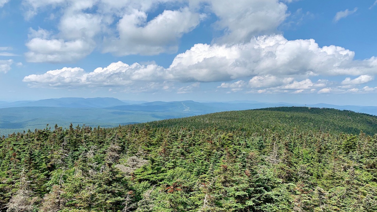 Photo of Others in Stratton Mountain