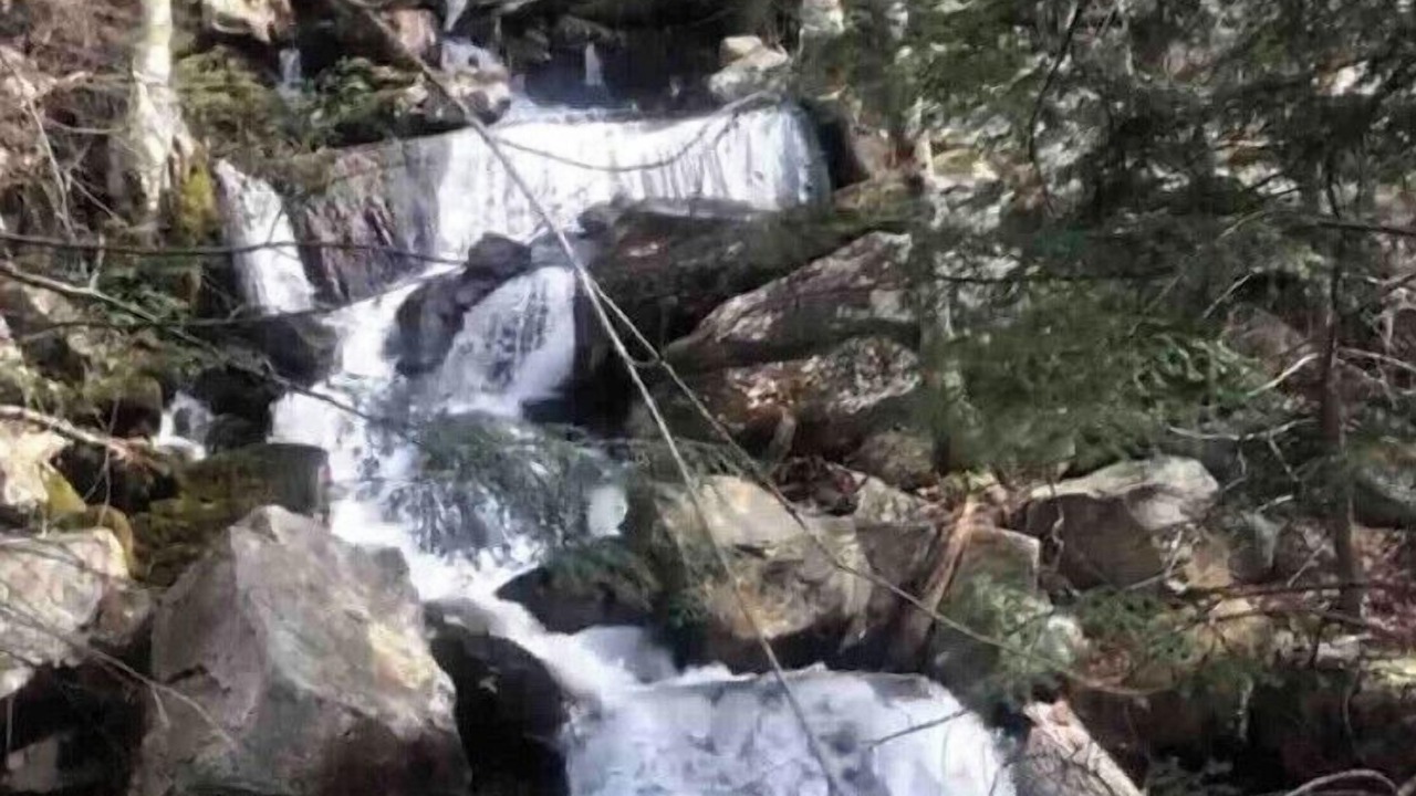 Photo of Others in Stratton Mountain