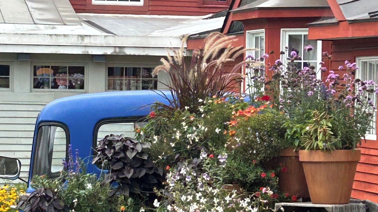 Photo of Outdoor in South Londonderry