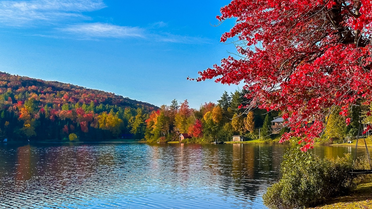 Photo of Outdoor in Eden