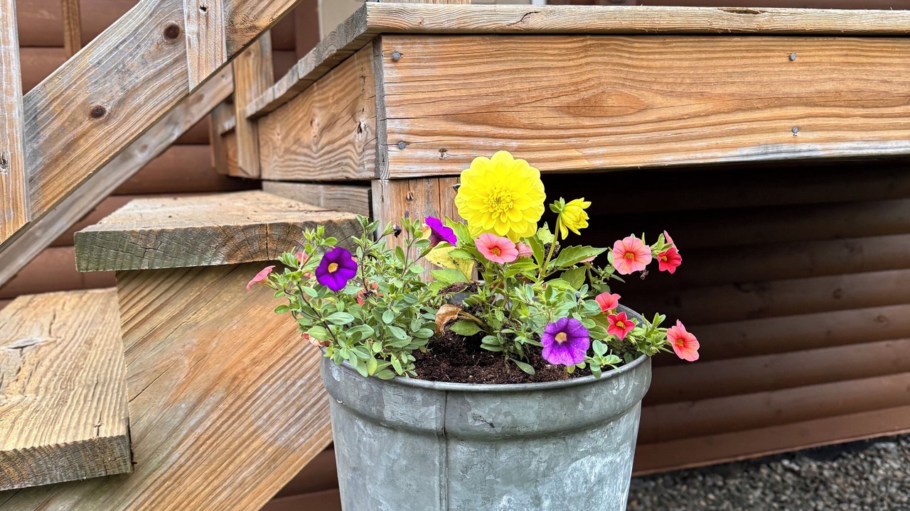 Photo of Outdoor in Brownington