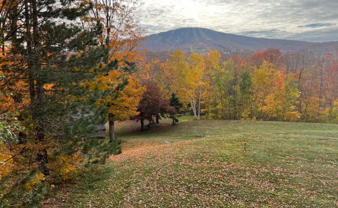 Photo of Others in Stratton Mountain
