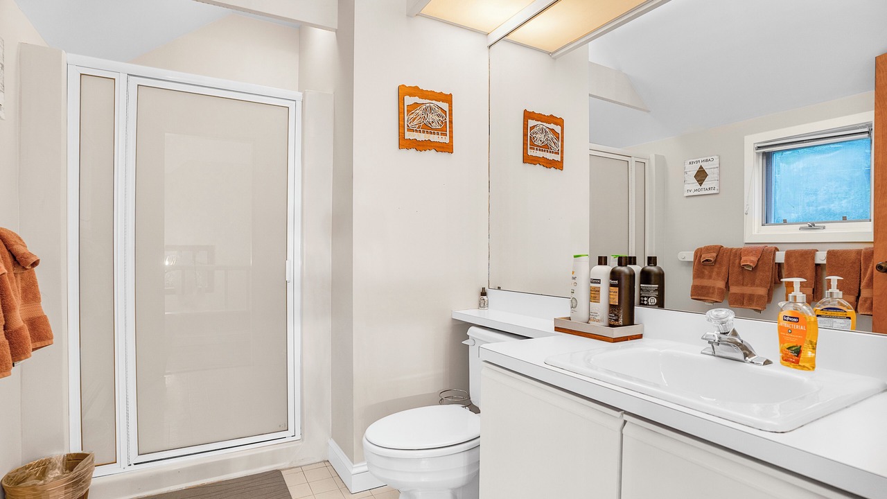 Photo of Bathroom in Stratton Mountain