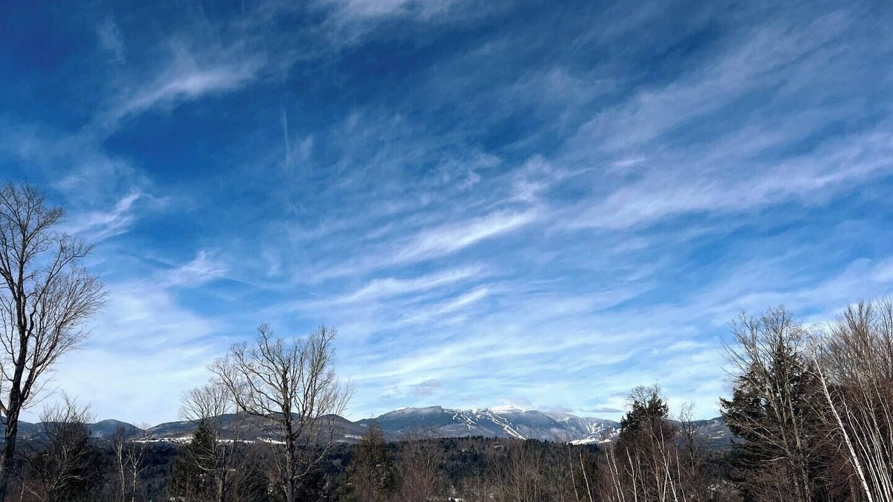 Photo of Others in Stowe Hollow