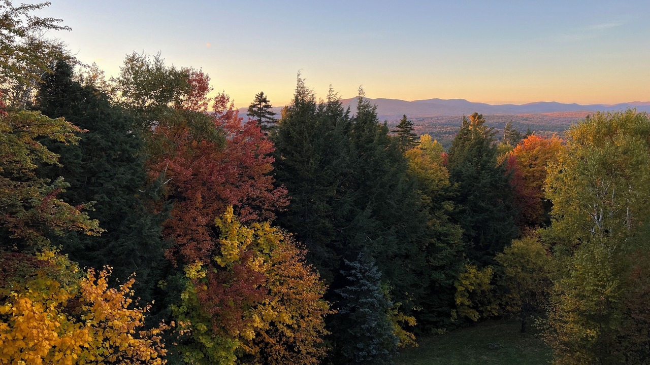 Photo of Others in Stratton Mountain