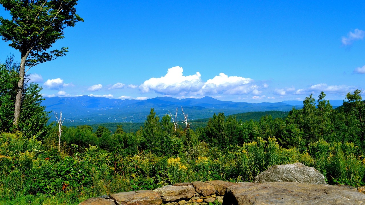 Photo of Outdoor in Stowe Area