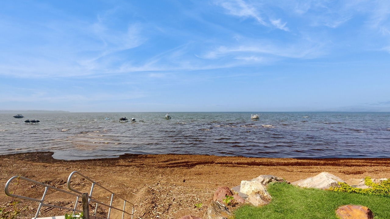 Photo of Others in Malletts Bay