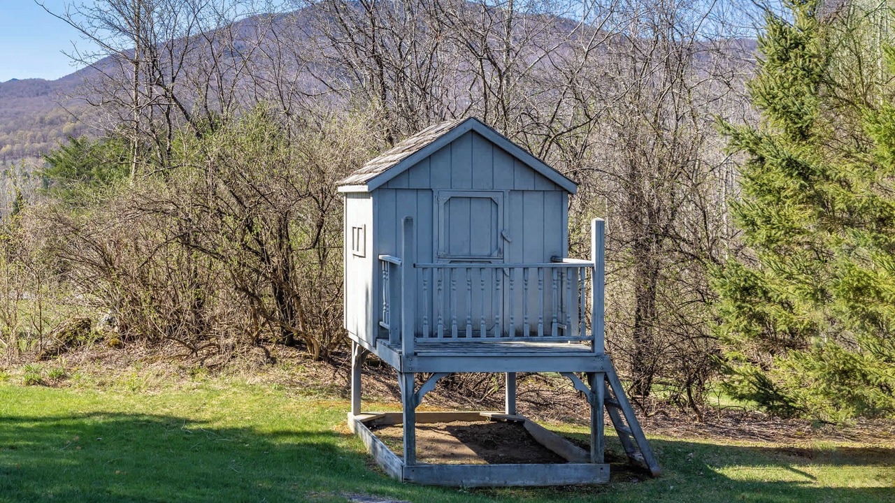 Photo of Outdoor in Dorset