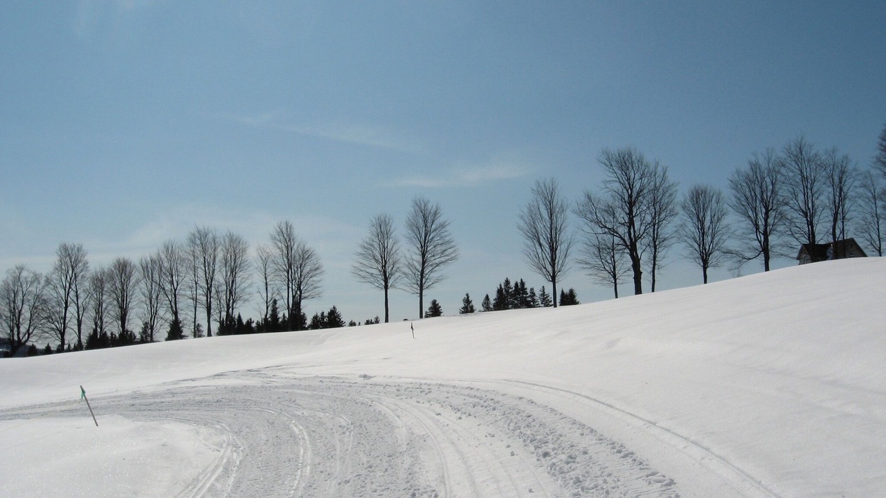 Photo of Others in West Glover