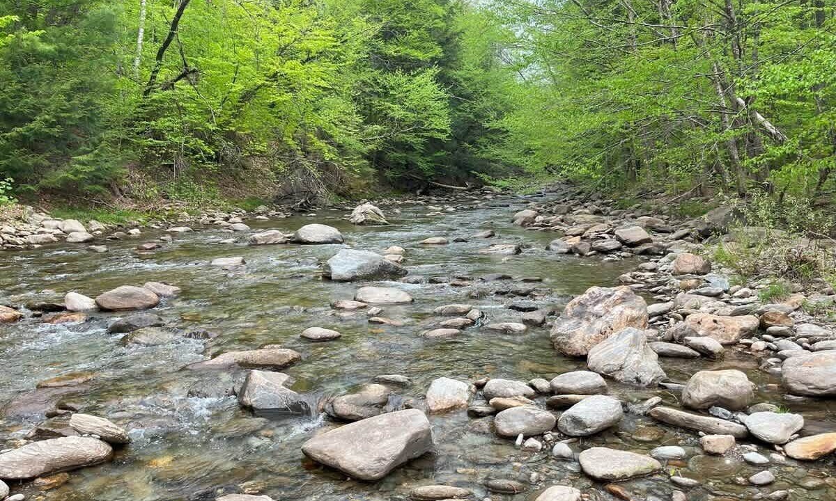 Photo of Others in Stowe Area