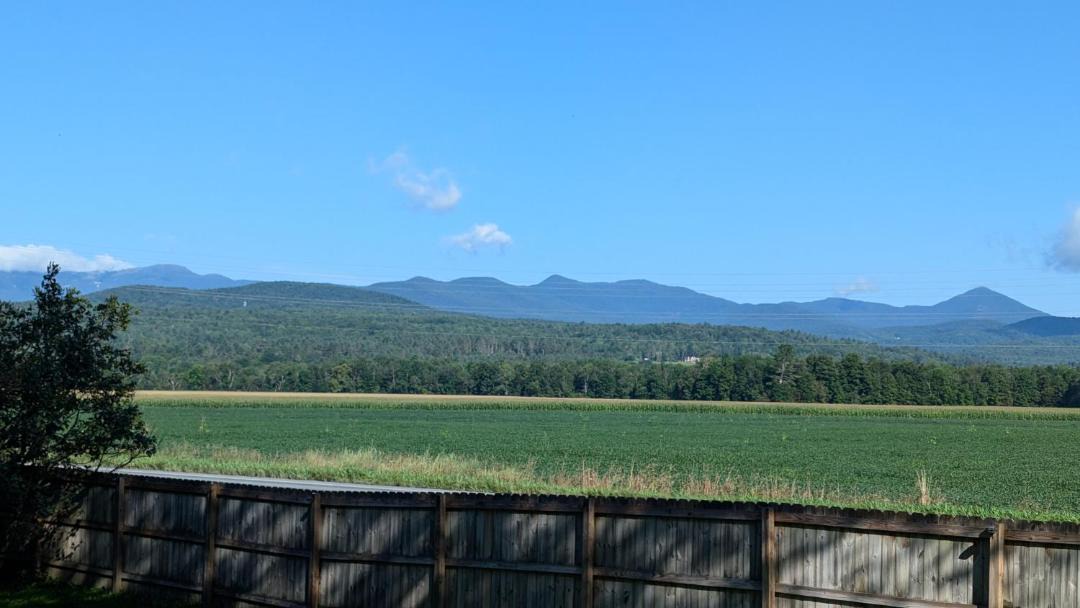 Photo of Others in Stowe