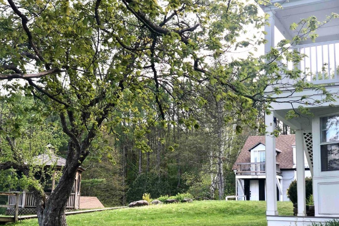 Photo of Buildings in West Dover